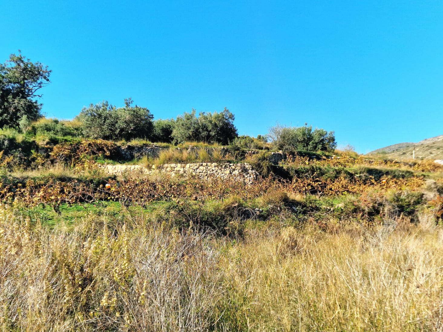Rustic plot with panoramic sea views near Moraira, Javea and Lady Elisabeth School