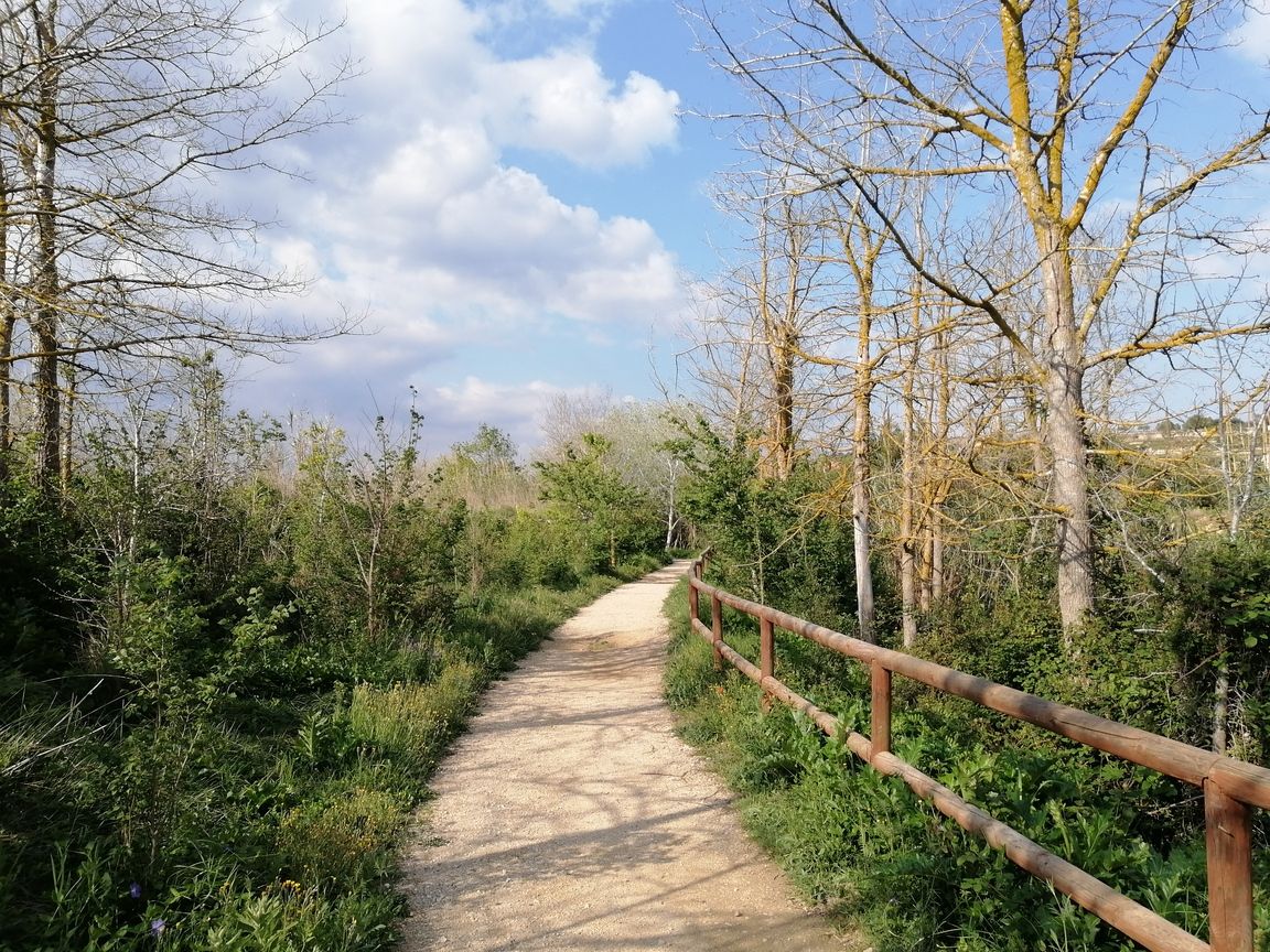 Country house ideal for an equestrian center in Moraira