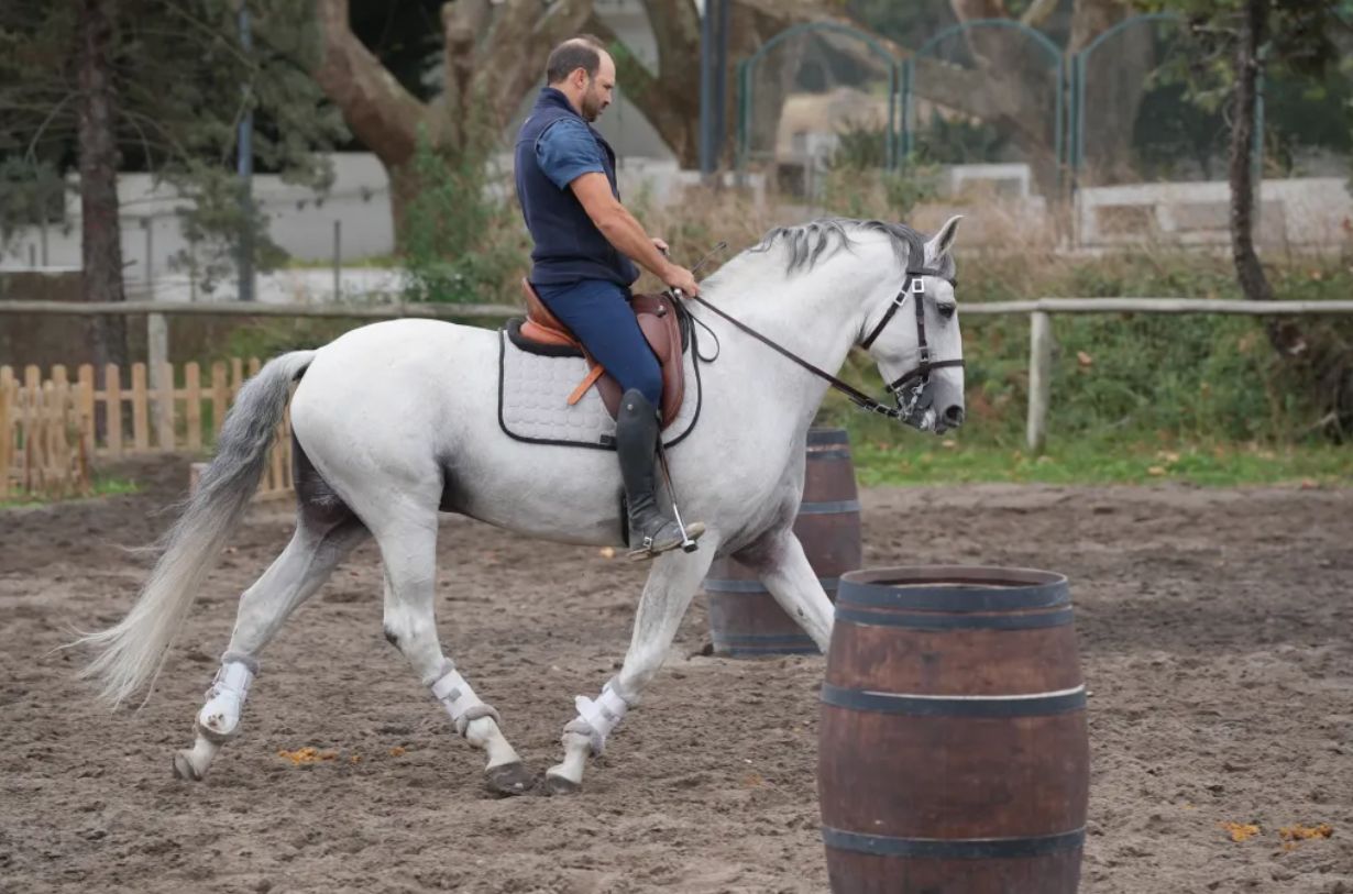 Country house ideal for an equestrian center in Moraira
