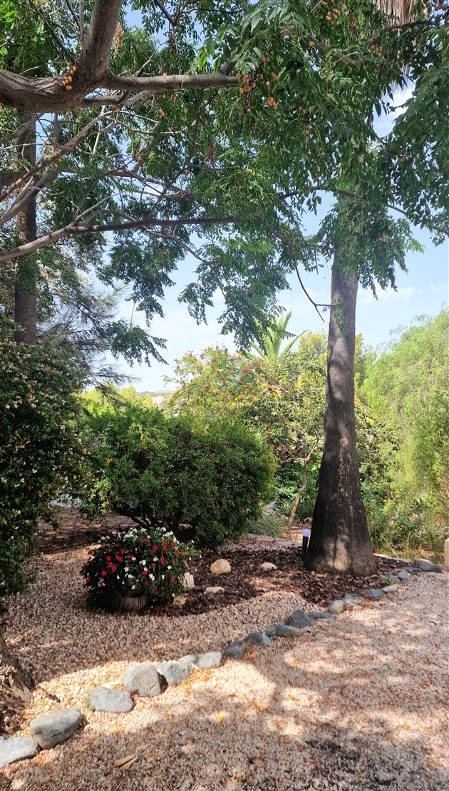 Villa à San Jaime Benissa avec de beaux jardins